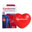 Cardiomin, 60 kapsułek + Piłeczka antystresowa do gniecenia w kształcie serduszka, 1 sztuka gratis - miniaturka 2 zdjęcia produktu