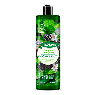 Herbapol Polana, szampon z odżywką, pokrzywa, jeżyna, mentol, 400 ml - zdjęcie produktu