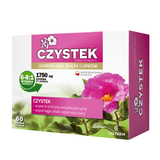 Czystek, 60 kapsułek twardych - miniaturka zdjęcia produktu