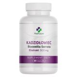 Medfuture Kadzidłowiec ekstrakt 500 mg, 60 kapsułek - miniaturka zdjęcia produktu