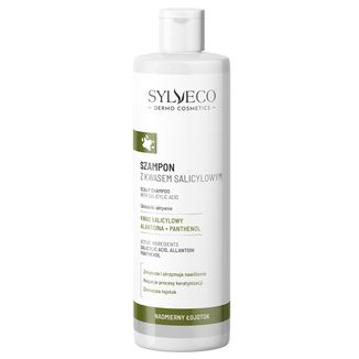 Sylveco Dermo Nadmierny Łojotok, szampon z kwasem salicylowym, 300 ml - zdjęcie produktu