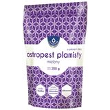 Oleofarm Ostropest plamisty mielony, 200 g - miniaturka zdjęcia produktu