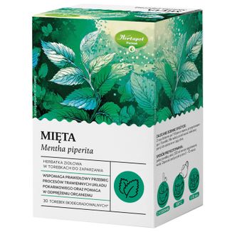 Herbapol Mięta, herbatka ziołowa, 30 saszetek biodegradowalnych USZKODZONE OPAKOWANIE - zdjęcie produktu