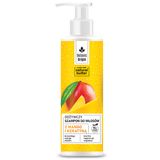 Botanic Origin, odżywczy szampon do włosów z mango i keratyną, 300 ml - miniaturka zdjęcia produktu