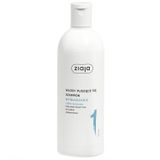 Ziaja Roślinnie Pielęgnujemy Wygładzanie Liście Baobabu, szampon, włosy puszące się, 400 ml - miniaturka zdjęcia produktu