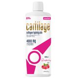 Noblepharma Cartilage, smak malinowy, 500 ml - miniaturka zdjęcia produktu