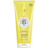 Roger & Gallet Fleur D'Osmanthus, żel pod prysznic, 200 ml Roger & Gallet Fleur D'Osmanthus, żel pod prysznic, 200 ml - miniaturka zdjęcia produktu
