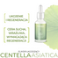 Sylveco FeedSkin Centella Asiatica, eliksir łagodzący z wąkrotą azjatycką, 30 ml - miniaturka 2 zdjęcia produktu