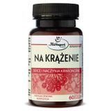 Herbapol Na Krążenie, 60 kapsułek - miniaturka zdjęcia produktu