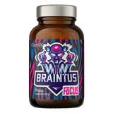 OstroVit Braintus Focus, 90 kapsułek OstroVit Braintus Focus, 90 kapsułek - miniaturka zdjęcia produktu