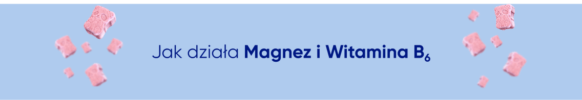 magne b6 kids 8