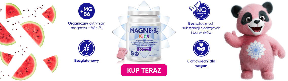 magne b6 kids 4